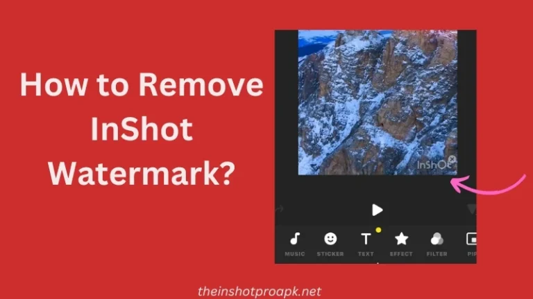 How to Remove InShot Watermark? Methods Explained