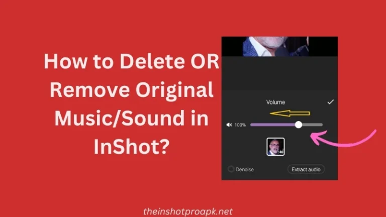How to Delete OR Remove Original Music/Sound in InShot?
