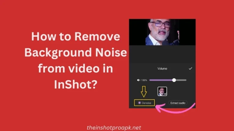 How to Remove Background Noise from Video in InShot?