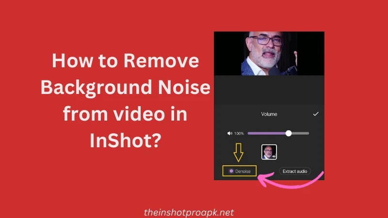 how to remove background noise from video in inshot