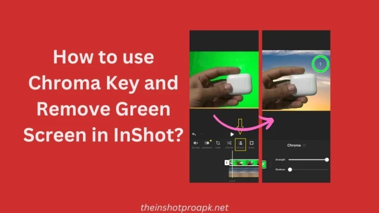 How to use Chroma Key and Remove Green Screen in InShot? Guide